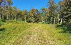 TIGER VALLEY Road, HYNDMAN, PA 15545