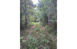 Lot 3a Elberton Highway, Lincolnton, GA 30817