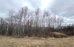 Tbd 450th Street, Fleming Twp, MN 55760