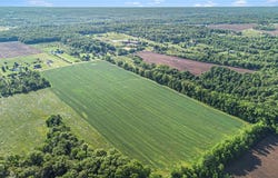 Dewey Road, Thompson, OH 44086