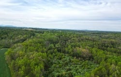 1630 Taylor Tyree RD, Rocky Mount, VA 24151
