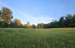 004 Tomahawk Slab Road, Saint Joe, AR 72675