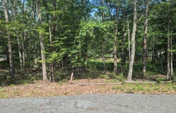 4122 Apache Lane, Shohola, PA 18458
