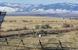 Townsend, MT 59644
