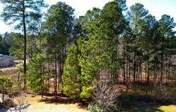 113 Sea Grass Lane, Aiken, SC 29803