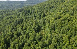 0 McKayla Circle, Williamsburg, KY 40769