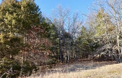 000 Cotrel Lane, Falcon, MO 65470