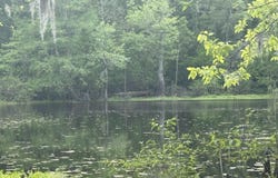 Lot-138 Amite River Rd, Baton Rouge, LA 70817
