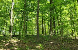 1796 S Garrison Chapel Road, Bloomington, IN 47403