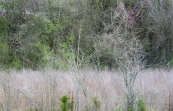 Etowah Road, Norman, OK 73068