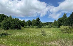 Lots 33 S Ski View Circle, Cedar, MI 49621