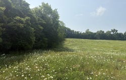 210 W Wagner Road, Buchanan, MI 49107