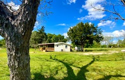 3304 John Clark Rd., Bonifay, FL 32425