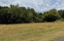19066 White Bluff Drive, Whitney, TX 76692