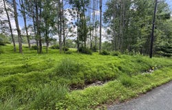 Lot #722 Bear Tree Road, Lake Ariel, PA 18436