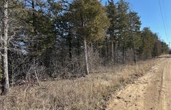 Warden  RD, Omaha, AR 72662