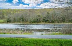 307 Beaver Lake Road, Livingston Manor, NY 12758