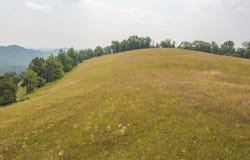 Lots 21&22 Big Springs Road, Eidson, TN 37731