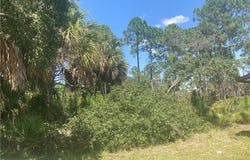 SW 137th Street, Waldo, FL 34231