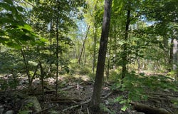 Co Rte 48, Thompson Ridge, NY 10985