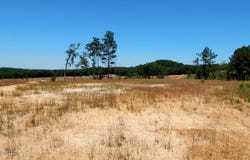 102 Hugh White State Park Road lot: 2, Grenada, MS 38901