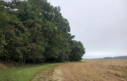FOX GROVE RD lot: 0, PARKSLEY, VA 23421