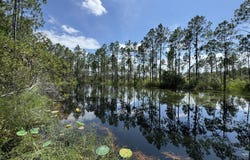 4300 Justa Road, Mims, FL 32754