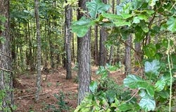 100 Shortoff Trail NW, Valdese, NC 28690