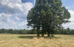 3249 Clark Lane, Mansfield, MO 65704