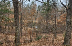 Cody Road lot: 27 & 28, Glennie, MI 48737