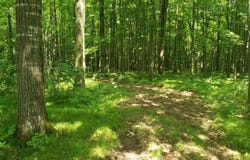 3 Liberty Lane, Phillips, WI 54555
