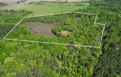 CR 1143, Daingerfield, TX 75638
