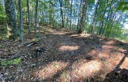 Partridge Tr, Grandview, TN 37337