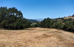 23 E Pronghorn RUN, CARMEL, CA 93923
