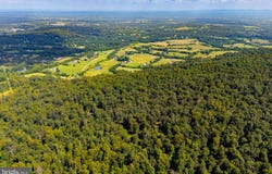 TREE CROPS LANE, ROUND HILL, VA 20141
