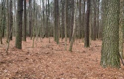 0 UPPER FERRY ROAD, EDEN, MD 21822