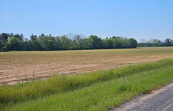 0 County Road 17, Headland, AL 36345