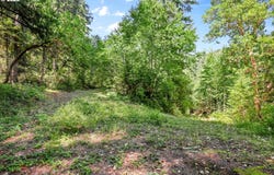 MOUNT REUBEN RD, Glendale, OR 97442