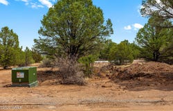 41355 US-180, Nutrioso, AZ 85932