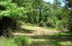 0 County Road 213, Lanett, AL 36863