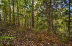 Murphy Drive lot: 13,14, & 15, Bella Vista, AR 72715