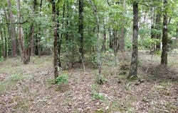 10 Telon Lane, Hot Springs Village, AR 71909