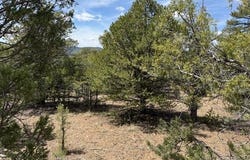 Upper Penabete lot: 58, Questa, NM 87556