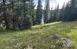 21344 Hilltop Drive, Cedaredge, CO 81413