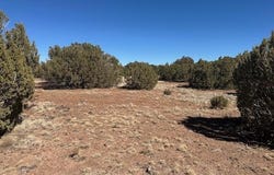 30 CR 8051 Road, Concho, AZ 85924
