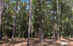 Victorian Drive, Fairhope, AL 36532