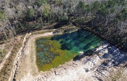 Timber Trail, Richmond Hill, GA 31324
