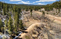38 Ada Ct, Red Feather Lakes, CO 80545