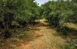 TBD CR 125, Hallettsville, TX 77964