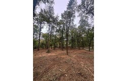 310 White Fox Lane, Broken Bow, OK 74728
